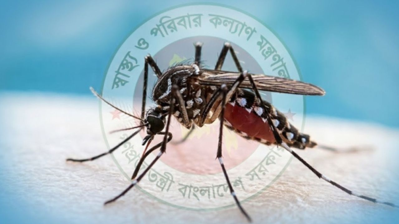 ২৪ ঘণ্টায় ডেঙ্গুতে ৯ জনের মৃত্যু, হাসপাতালে ভর্তি ১৯৫৪