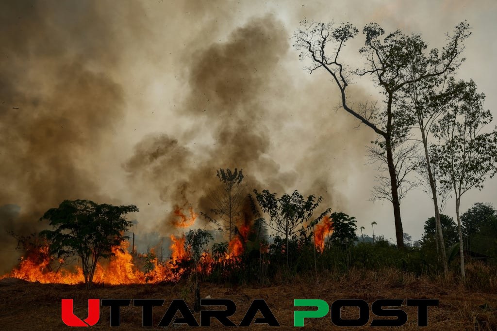 এল নিনোর প্রভাবে বিশ্বজুড়ে দাবানল ও সংকট