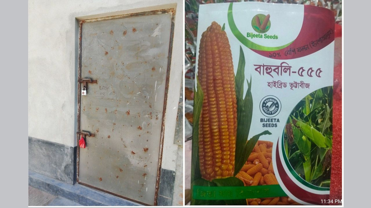 পাটগ্রামে অবৈধ ভুট্টাবীজ প্যাকেটজাতের অভিযোগ