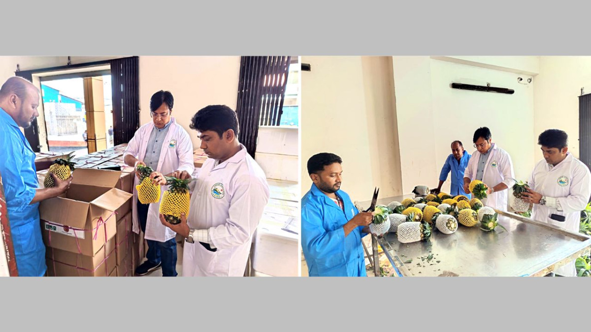 পাকিস্তানের বাজারে প্রথমবার বাংলাদেশী আনারস রফতানি